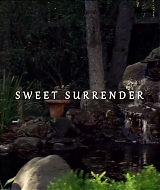 2014-SweetSurrender-001.jpg
